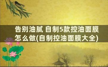 告别油腻 自制5款控油面膜怎么做(自制控油面膜大全)